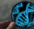 DNA paternity profiling